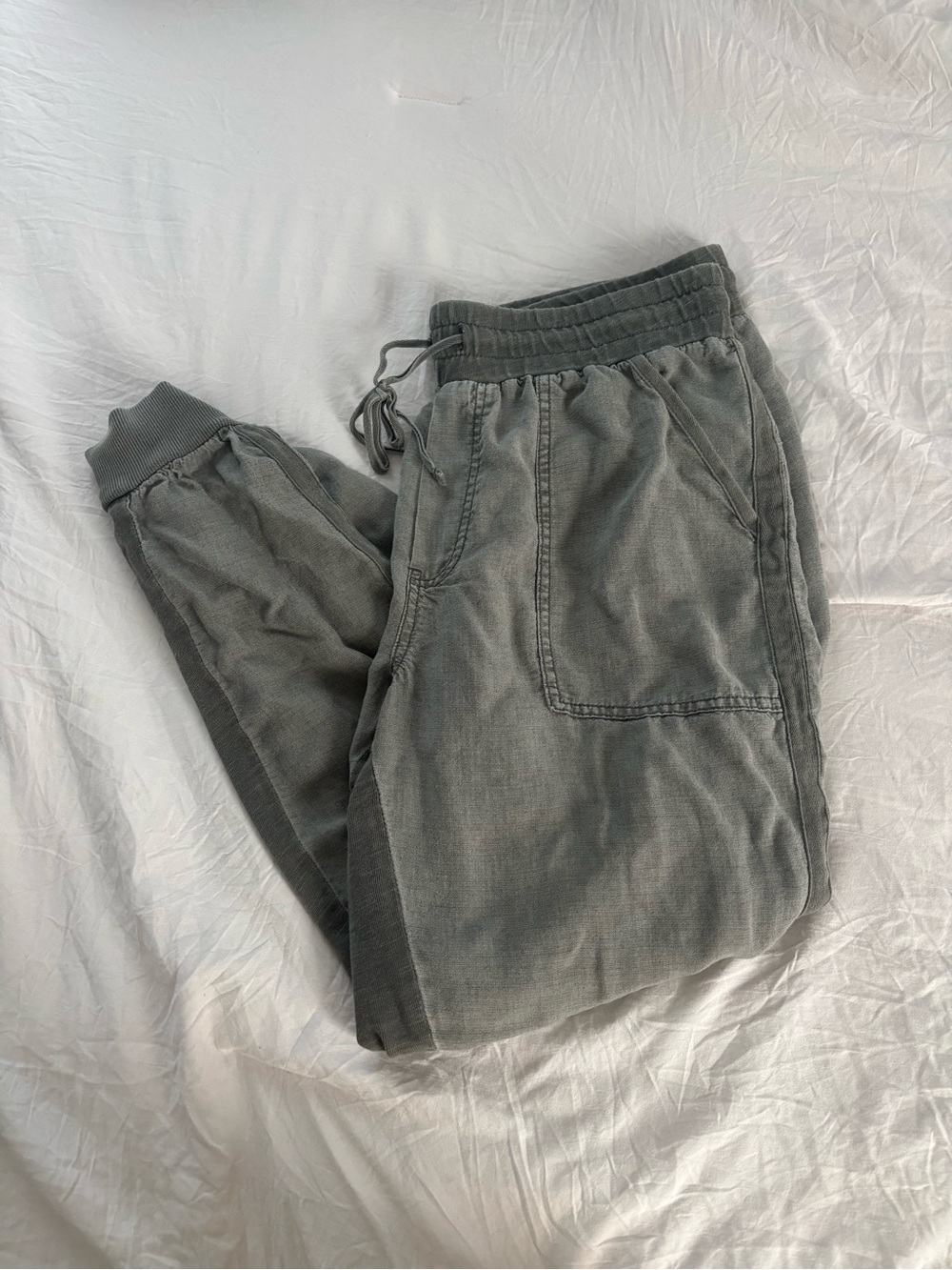 Splendid Lakeside Joggers